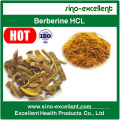 100% de Cloridrato de Berberina Natural / HCl Berberina